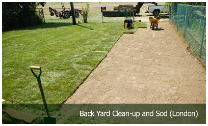 Back Yard Clean-up and Sod (London)