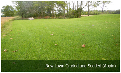 New Lawn Graded and Seeded (Appin)