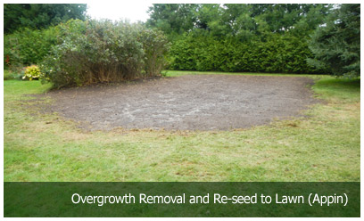 Overgrowth Removal and Re-seed to Lawn (Appin)