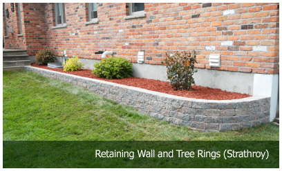 Retaining Wall and Tree Rings (Strathroy)